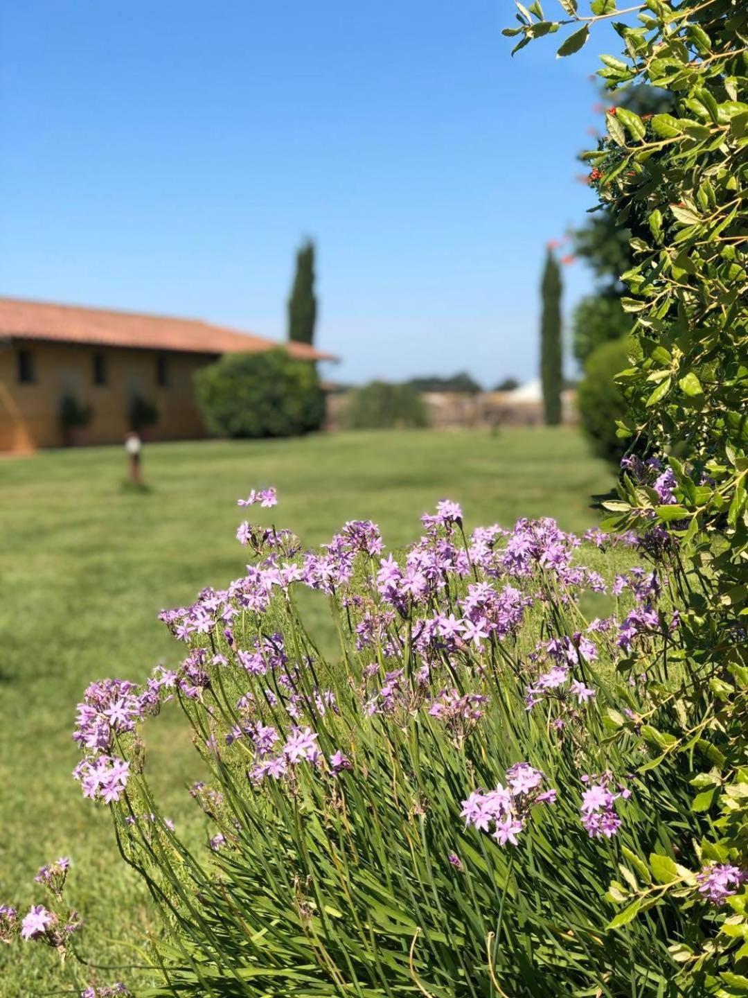 Vila La Giuncola Rispescia Exteriér fotografie